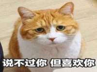 泗阳美蟹汇电子商务有限公司