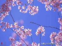 泗阳美蟹汇电子商务有限公司