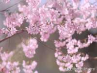 泗阳美蟹汇电子商务有限公司