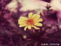 泗阳美蟹汇电子商务有限公司