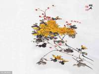 泗阳美蟹汇电子商务有限公司
