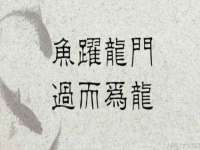 泗阳美蟹汇电子商务有限公司