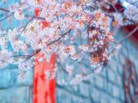 泗阳美蟹汇电子商务有限公司
