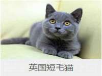 泗阳美蟹汇电子商务有限公司