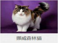 泗阳美蟹汇电子商务有限公司