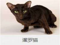 泗阳美蟹汇电子商务有限公司