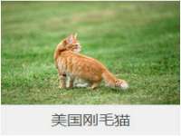 泗阳美蟹汇电子商务有限公司
