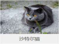 泗阳美蟹汇电子商务有限公司