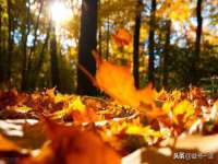 泗阳美蟹汇电子商务有限公司