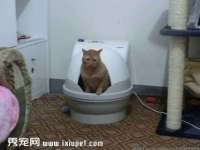 泗阳美蟹汇电子商务有限公司