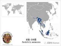 泗阳美蟹汇电子商务有限公司