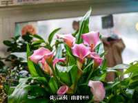 泗阳美蟹汇电子商务有限公司
