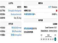 泗阳美蟹汇电子商务有限公司