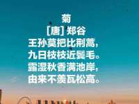 泗阳美蟹汇电子商务有限公司