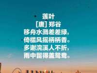 泗阳美蟹汇电子商务有限公司