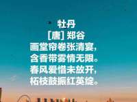 泗阳美蟹汇电子商务有限公司