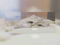 泗阳美蟹汇电子商务有限公司