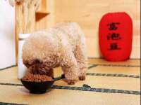泗阳美蟹汇电子商务有限公司