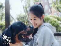泗阳美蟹汇电子商务有限公司