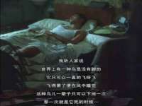 泗阳美蟹汇电子商务有限公司