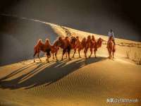 泗阳美蟹汇电子商务有限公司