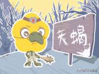 泗阳美蟹汇电子商务有限公司