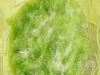 泗阳美蟹汇电子商务有限公司
