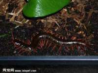 泗阳美蟹汇电子商务有限公司