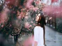 泗阳美蟹汇电子商务有限公司