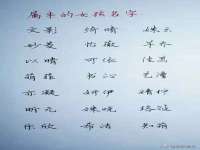 泗阳美蟹汇电子商务有限公司