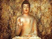 泗阳美蟹汇电子商务有限公司